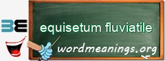 WordMeaning blackboard for equisetum fluviatile